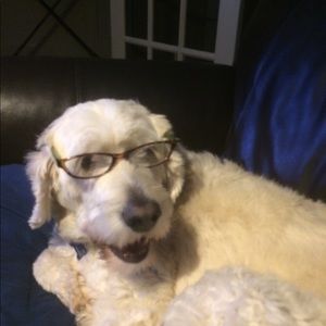 Meet your Posher, Laura